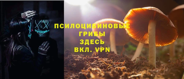 скорость Анива