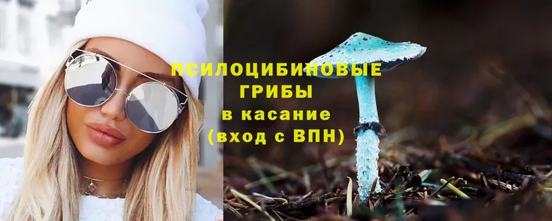 Псилоцибиновые грибы Magic Shrooms  blacksprut   Лабытнанги 