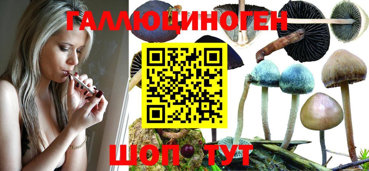 Галлюциногенные грибы MAGIC MUSHROOMS Лабытнанги